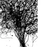 Xora Vliestapete, Schwarz, Wei&szlig;, Abstraktes, 200x250 cm, Fsc, Tapeten &