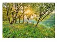 Komar Fototapete Spring Lake, Grün, Papier, Bäume, 368x254 cm, Fsc, Made in