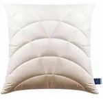 Billerbeck Kopfkissen Climatraum, Champagner, Textil, F&uuml;llung: Polyester, 80x80 cm,