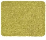 Astra Fussmatte, Gr&uuml;n, Textil, 75x130 cm, Teppiche & B&ouml;den, Fu&szlig; & Stufenmatten,