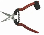 Westfalia Gartenschere, Rot, Metall, 4.8x1.7x18.5 cm, Gartenzubeh&ouml;r, Gartenpflege,