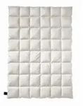 Billerbeck Winterdecke Elegance Duo, Champagner, Textil, F&uuml;llung: Daunen, 155x220