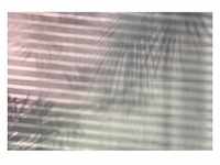 Komar Vliestapete Shadows, Papier, Betonoptik, 368x248 cm, Made in Germany, FSC Mix,