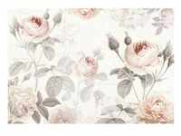Komar Vliestapete, Grau, Rosa, Floral, 368x248 cm, Fsc, Tapeten Shop, Vliestapeten