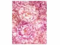 Komar Vliestapete, Rosa, Floral, 200x250 cm, Tapeten Shop, Vliestapeten