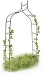 Relaxdays Rankbogen, Dunkelgr&uuml;n, Metall, 140x240x38 cm, Gartenzubeh&ouml;r, Gartendeko
