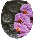 Sanilo Wc-Sitz, Violett, Holzwerkstoff, Oval, 38x6x47 cm, Badezimmer, WC Ausstattung,