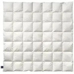 Billerbeck Ganzjahresdecke Nena, Wei&szlig;, Textil, F&uuml;llung: G&auml;nsedaunen, 200x200 cm,