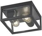 Trio Leuchten Aussendeckenleuchte Garonne, Anthrazit, Metall, Glas, 24x11x24 cm,