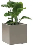Blumenkasten Greener Kebe, Taupe, Kunststoff, 39.5x39.5x39.5 cm, stabil, wetterfest,
