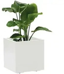 Blumenkasten Greener Kebe, Wei&szlig;, Kunststoff, 39.5x39.5x39.5 cm, stabil, wetterfest,
