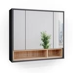 Vicco Badspiegelschrank, Anthrazit, Holzwerkstoff, 6 F&auml;cher, Rechteckig, 80x72x20