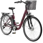 Telefunken E-Bike, Weinrot, Metall, 114.5 cm, Akkustatusanzeige, Seitenst&auml;nder,
