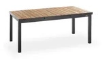 Niehoff Garden Gartentisch, Anthrazit, Metall, Teakholz, massiv, rechteckig, eckig,