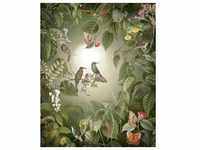 Komar Vliestapete, Mehrfarbig, Blätter, 200x250 cm, Fsc, Tapeten Shop, Vliestapeten