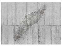 Komar Vliestapete Concrete Feather, Federn, 350x250 cm, FSC Mix, Tapeten Shop,