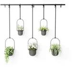 Umbra Wand-Pflanztopfset, Schwarz, Metall, Kunststoff, 18x94x137 cm, Dekoration,