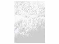 Fototapete, Grau, Weiß, Abstraktes, 200x280 cm, Tapeten Shop, Fototapeten