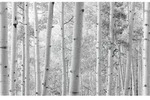 Xora Fototapete, Schwarz, Wei&szlig;, Textil, Graphik, 450x280 cm, Tapeten &
