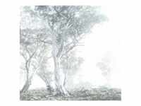 Fototapete, Blau, Weiß, Bäume, 300x280 cm, Tapeten Shop, Fototapeten