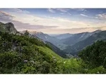 Xora Fototapete, Mehrfarbig, Textil, Blume, 450x280 cm, Tapeten & Wandverkleidungen,