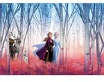Xora Fototapete Frozen, Mehrfarbig, Cartoon, 368x254 cm, Fsc, Tapeten &