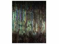Komar Vliestapete, Mehrfarbig, Abstraktes, 200x250 cm, Fsc, Tapeten Shop,