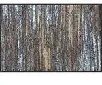 wash+dry Fussmatte Scratchy Beige, Beige, Textil, Graphik, rechteckig, 50x75 cm,