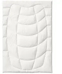 Kauffmann Steppbett Wildseide, Textil, F&uuml;llung: Wildseide, 200x200 cm,...