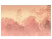 Komar Vliestapete, Gelb, Rosa, Bäume, 400x250 cm, Fsc, Tapeten Shop, Vliestapeten