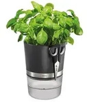 GEFU&reg; Botanico Kr&auml;uter Set Kr&auml;utertopf mit Bew&auml;sserungssystem und Kr&auml;uterschere