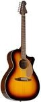 Fender Newporter Player WN Sunburst Westerngitarre Sunburst