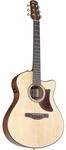 Ibanez AAM50CE-OPN Westerngitarre Natur