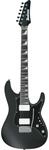 Ibanez BER10 Bernth Signature Ibanez E-Gitarre Schwarz