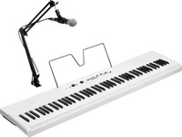 Korg Liano Live Stagepiano