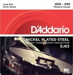 D'Addario Banjo Saiten EJ63 Tenor 4-String Nickel Loop End Saiten