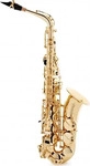 Selmer SEA2LSET, Selmer SE-A2L Goldlack SA80 II