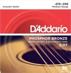 D'Addario EJ17, D'Addario A-Git.Saiten EJ17 13-56 Phosphor Bronze