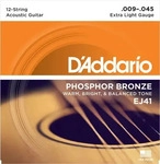 D'Addario EJ41, D'Addario EJ41 09-45 12-string Phosphor Bronze Extra Light