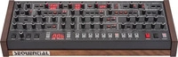 Sequential DSI-1600-EURO, Sequential Prophet-6 Desktop Analoger Synthesizer