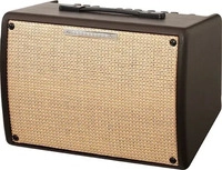 Ibanez T30II, Ibanez Troubadour T30II Akustikgitarren Verst&auml;rker