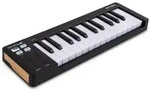 Arturia MicroLab Mk3 Black - Masterkeyboard