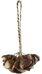 Meinl Sonic Energy SPGRS - Pangi Shaker, small - Shaker