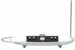 Moog Theremini - Synthesizer