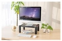 NEOMOUNTS NSMONITOR20