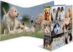 HERMA Ordner A4 Hunde
