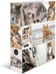 HERMA Ordner A4 Katzen
