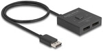 DeLOCK 18906 video switch