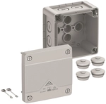 Spelsberg Abzweigkasten Abox Pro 025-L Schutzart IP66/IP67/IP69 max.2 40240001