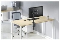 NEOMOUNTS Desk Mount 2 pivots clamp